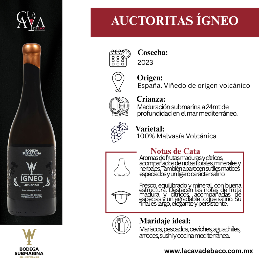 Auctoritas Ígneo