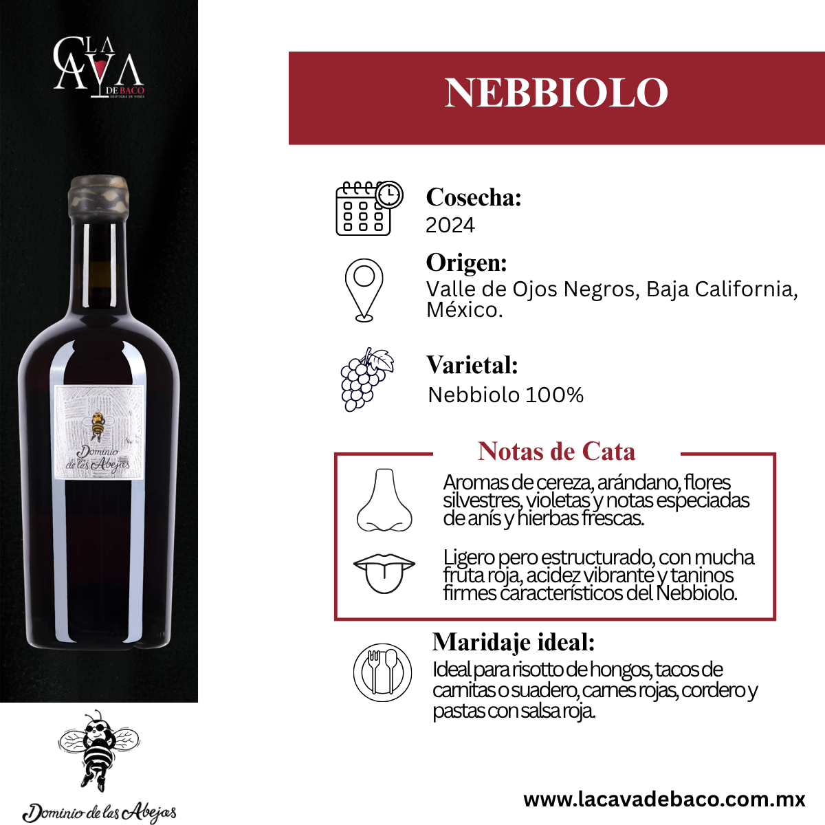 Dominio de las Abejas Nebbiolo