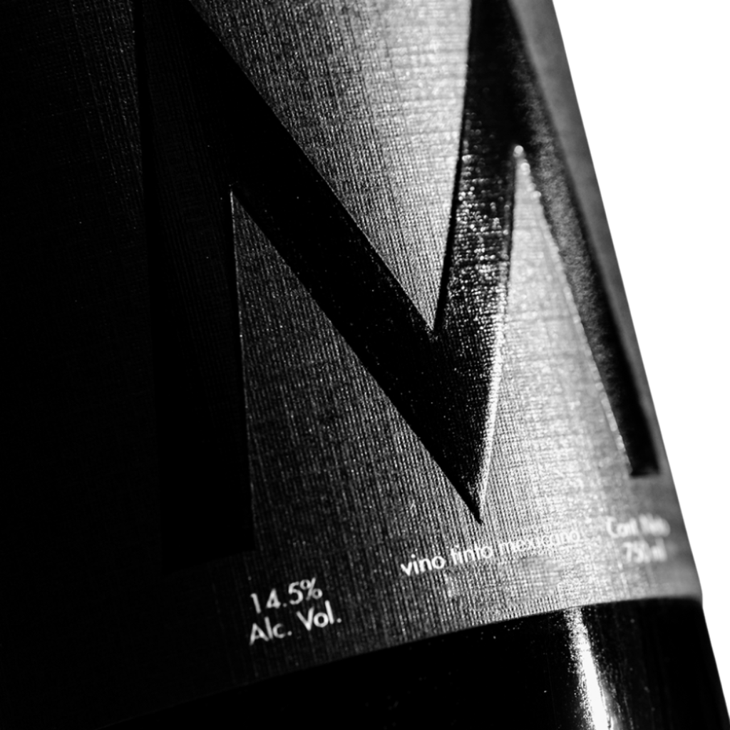 M de Mariatinto