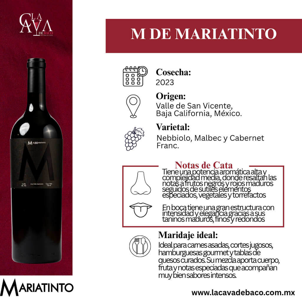 M de Mariatinto