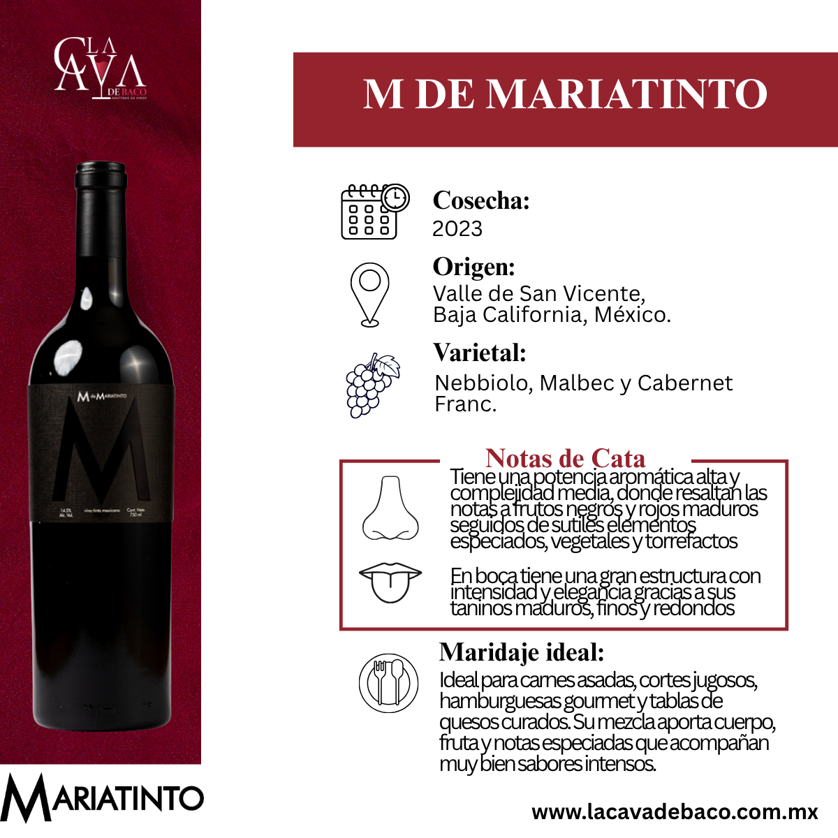 M de Mariatinto