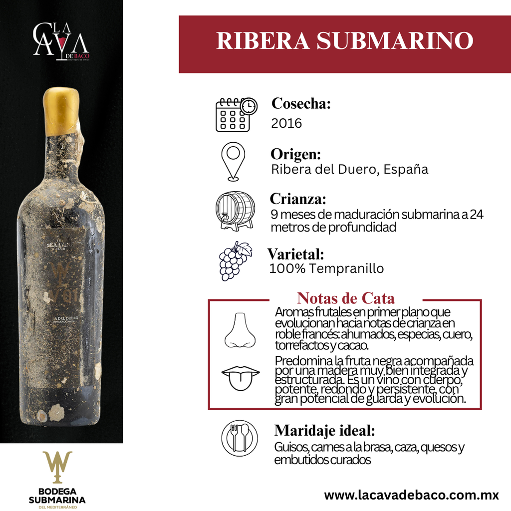 Submarino Ribera del Duero