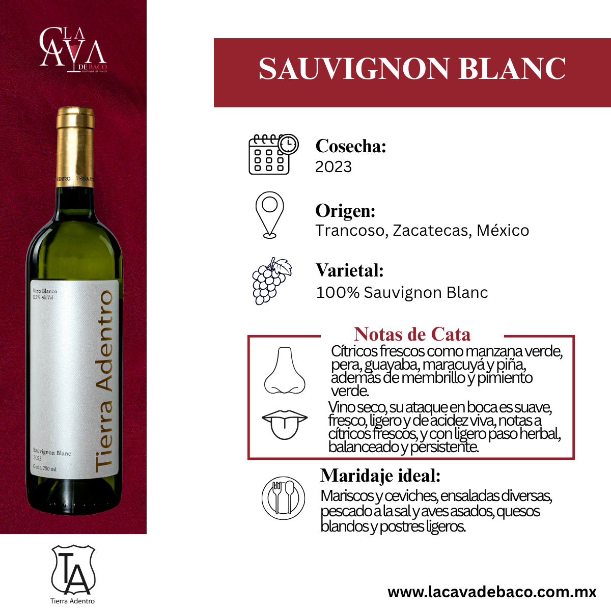 Tierra Adentro Sauvignon Blanc